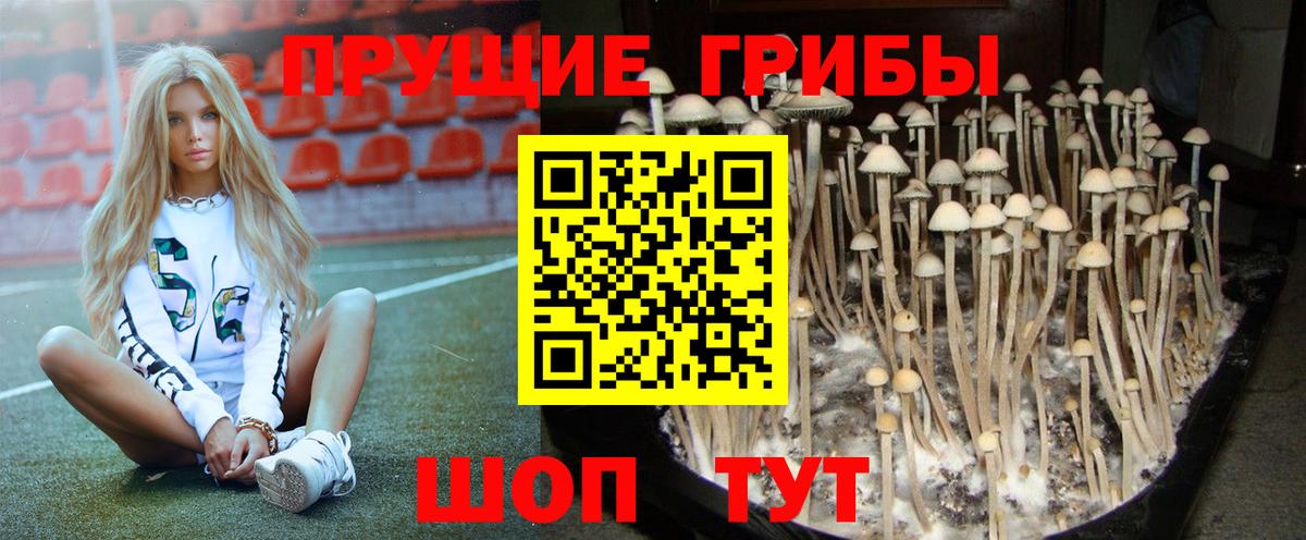 Галлюциногенные грибы Cubensis Дивногорск